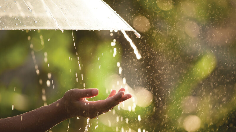 Hand catching raindrops under an umbrella with sunlit bokeh background.