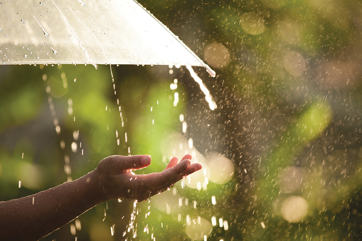 Hand catching raindrops under an umbrella with sunlit bokeh background.
