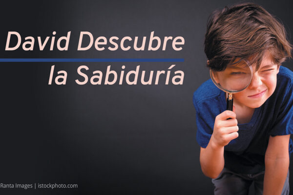 David Descubre la Sabiduría