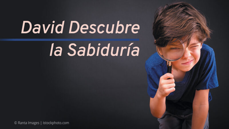 David Descubre la Sabiduría