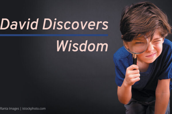 David Discovers Wisdom