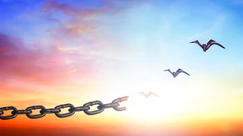 Silhouettes of broken chain and birds flying in sunset sky background