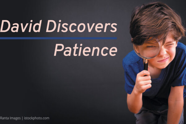 David Series David Discovers Patience
