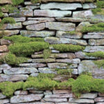 Paciencia en la Espera